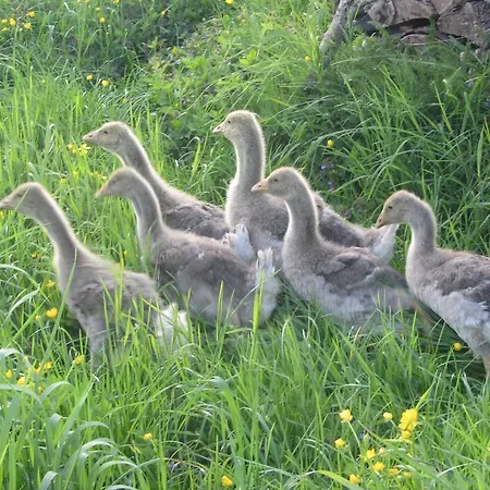 Nocleg ze śniadaniem Le Bout Du Monde 3*
